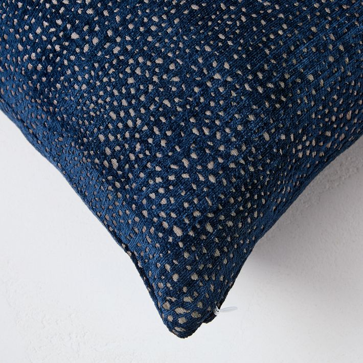 https://assets.weimgs.com/weimgs/ab/images/wcm/products/202336/0037/dotted-chenille-jacquard-pillow-cover-o.jpg