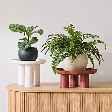 Plant Kween Metal Plant Stand | West Elm