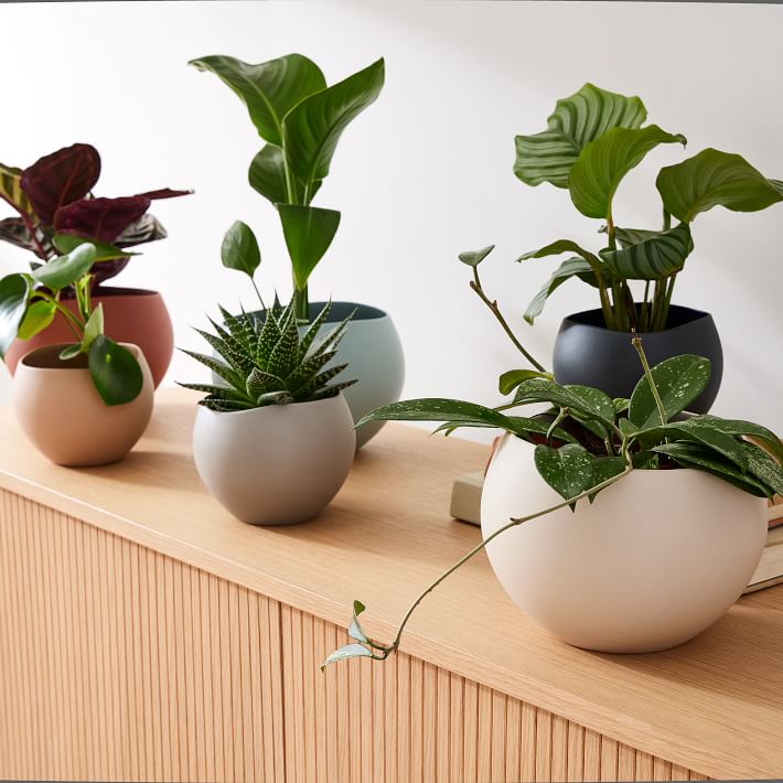 Organic Ceramic Tabletop Planters