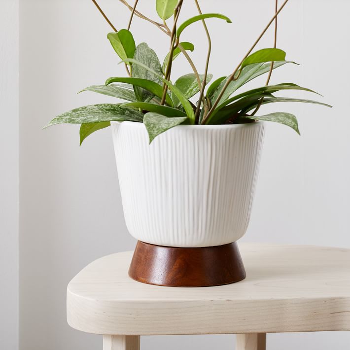 Harley Ceramic Tabletop Planter West Elm