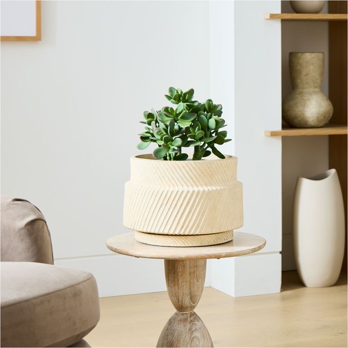 Faux Potted Jade Plant West Elm