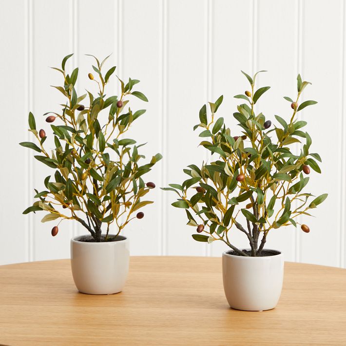 https://assets.weimgs.com/weimgs/ab/images/wcm/products/202337/0056/faux-potted-tabletop-olive-tree-set-of-2-o.jpg