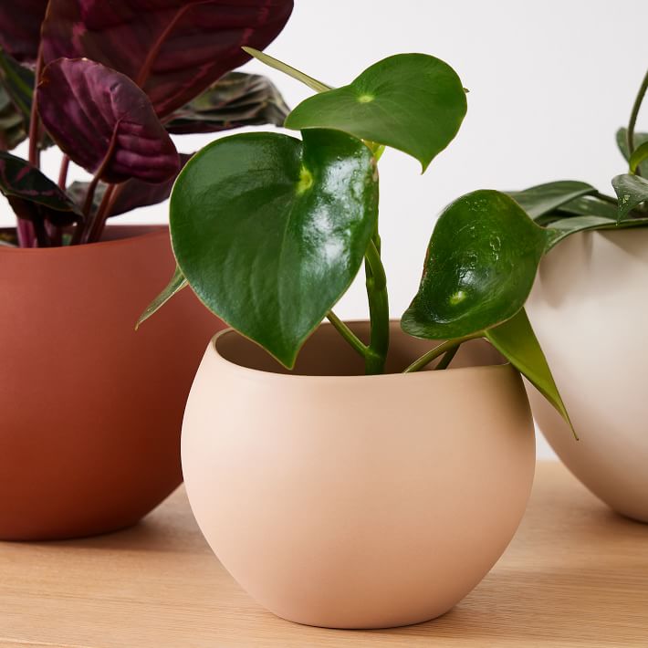 Organic Ceramic Tabletop Planters