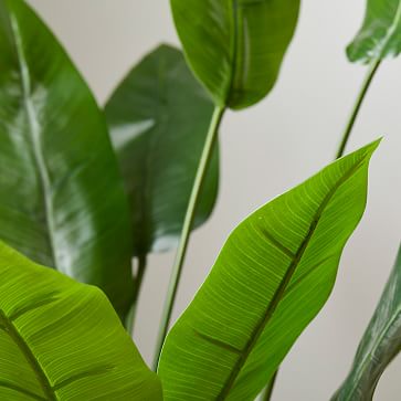 Faux Potted Bird of Paradise Plant | West Elm