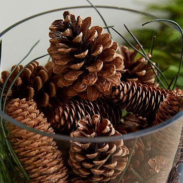 Pine Cone Vase Filler | West Elm