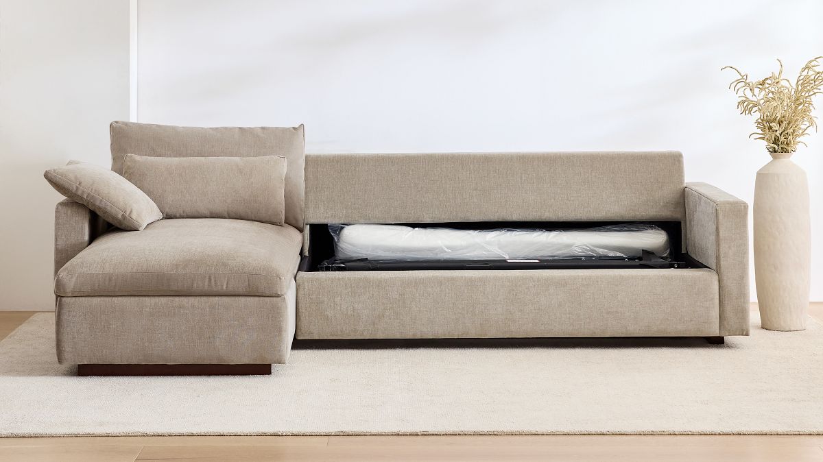 Chaise Queen Sleeper Sectional Sofa | Cabinets Matttroy