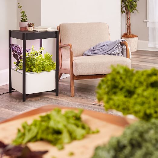 Miracle-Gro® Twelve™ Indoor Growing System | West Elm