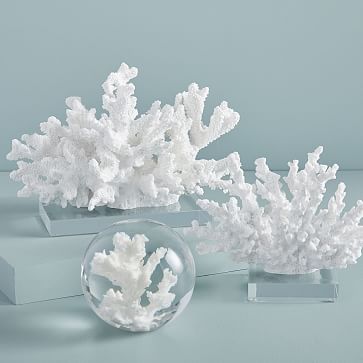 Coral Objects, Decorative Accents