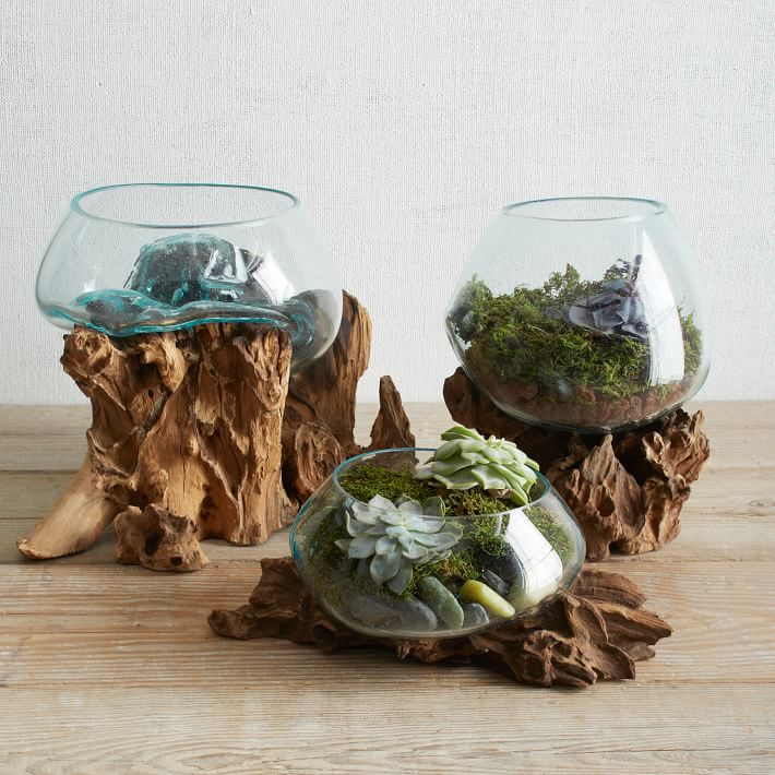 Wood &amp; Recycled Glass Terrariums