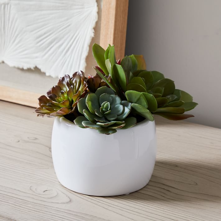 Faux Potted Baby's Breath w/ Planter