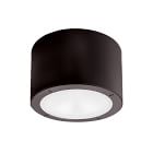 Rounded Metal Indoor/Outdoor LED Sconce | West Elm