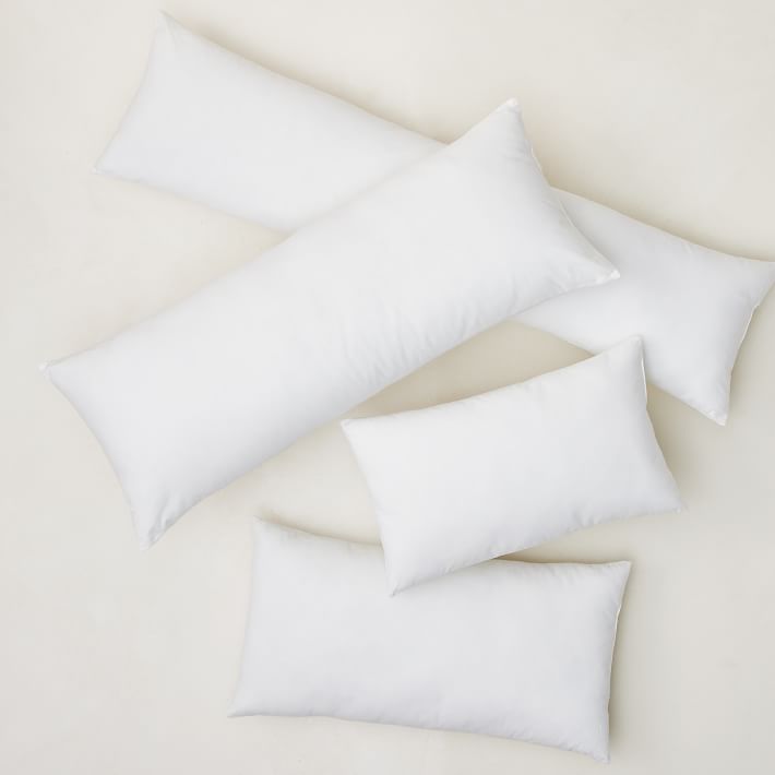 https://assets.weimgs.com/weimgs/ab/images/wcm/products/202344/0020/decorative-pillow-inserts-o.jpg