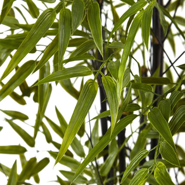 Faux Potted Bamboo Tree | West Elm