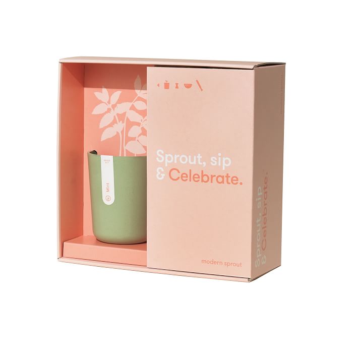 Modern Sprout Celebrate Gift Set