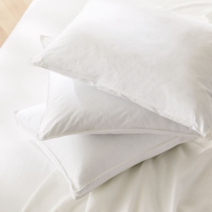 EDOW Throw Pillow Inserts, Set of 2 Lightweight Down Alternative