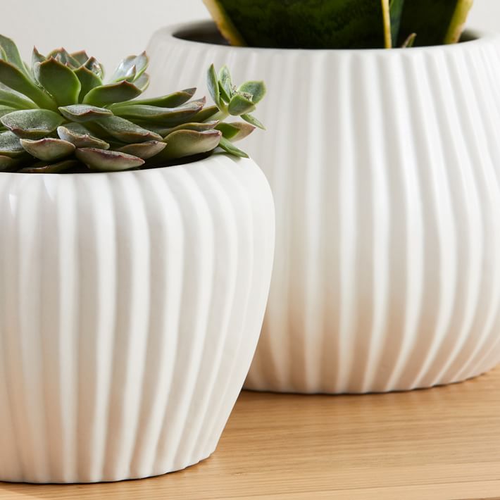 Organic Ceramic Tabletop Planters