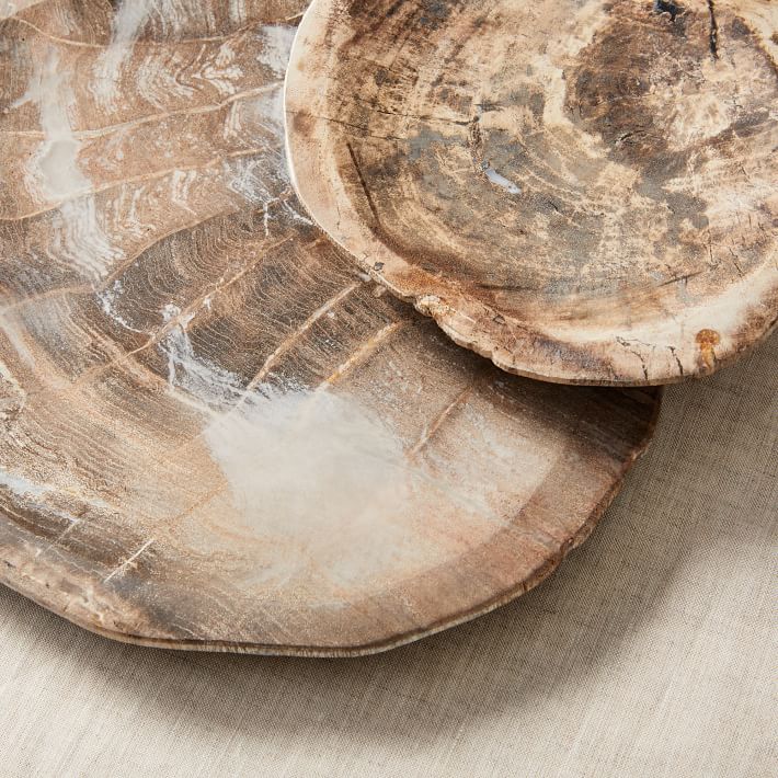 Petrified Wood Tray