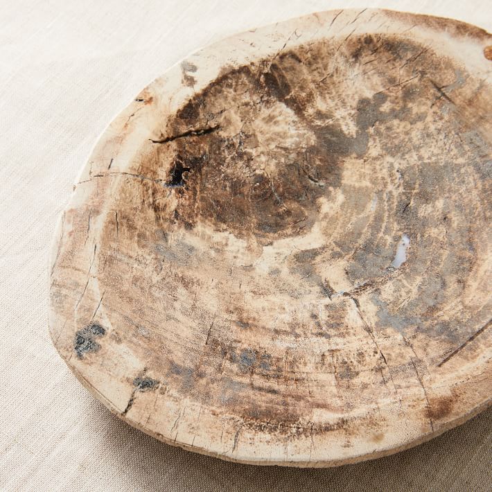 Petrified Wood Tray