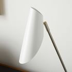 Curl Desk Lamp