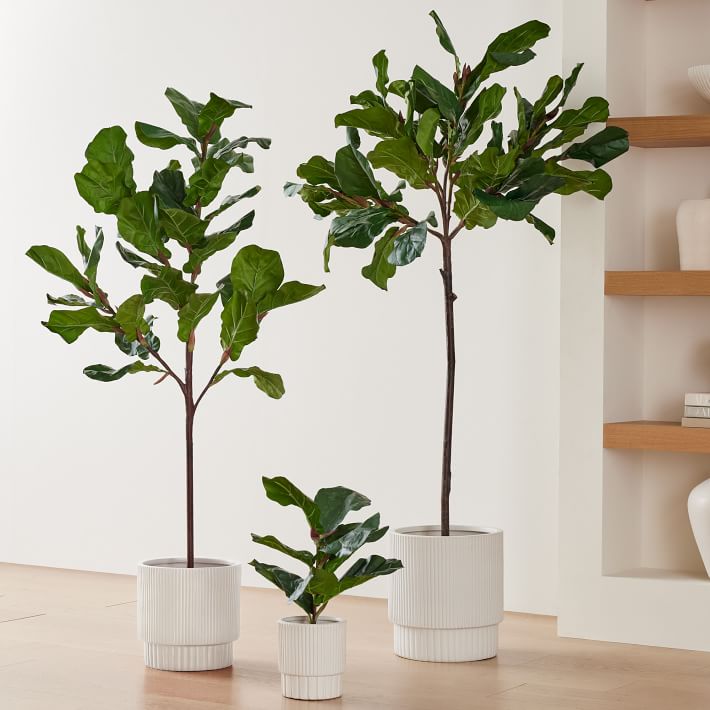 Open Box: Faux Potted Fiddle Leaf Fig Trees