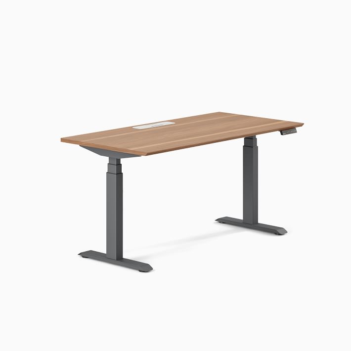 Standing desk west deals elm