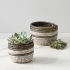 Colorblocked Basket Succulent Planters