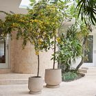 Helena Ficonstone Indoor/Outdoor Planters