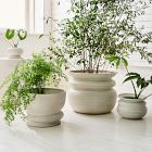 Alana Ceramic Indoor/Outdoor Planters