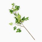 Faux Common Manzanita Bean Leaf Branch