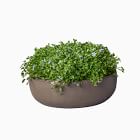 Sirima Outdoor Planter Bowls