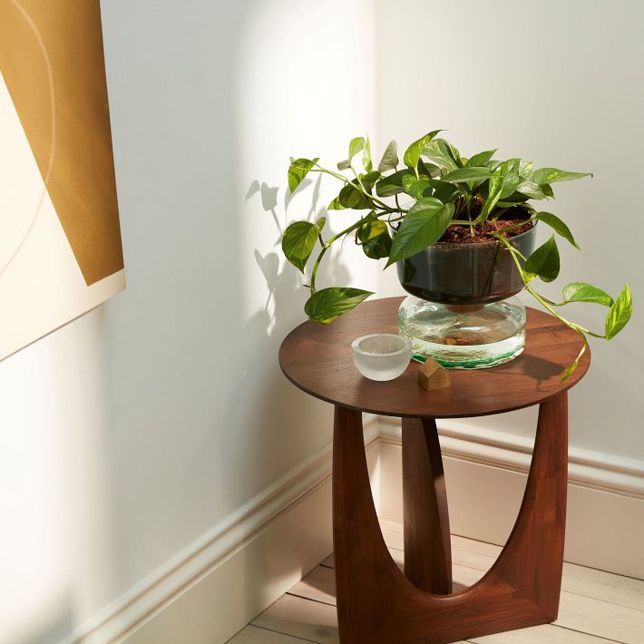 Canopy Glass Self-Watering Planter