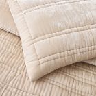 Lush Velvet Linear Comforter 