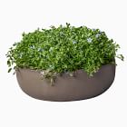 Sirima Outdoor Planter Bowls