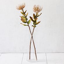Stems, Branches &amp; Bouquets