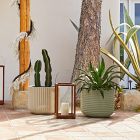 Cecilia Ficonstone Indoor/Outdoor Planters