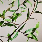 Faux Green Leaf Branch