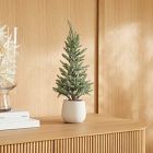 Faux Glittered Pine Tree w/ Terracotta Planter