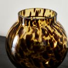 Mari Glass Vases - Tortoise