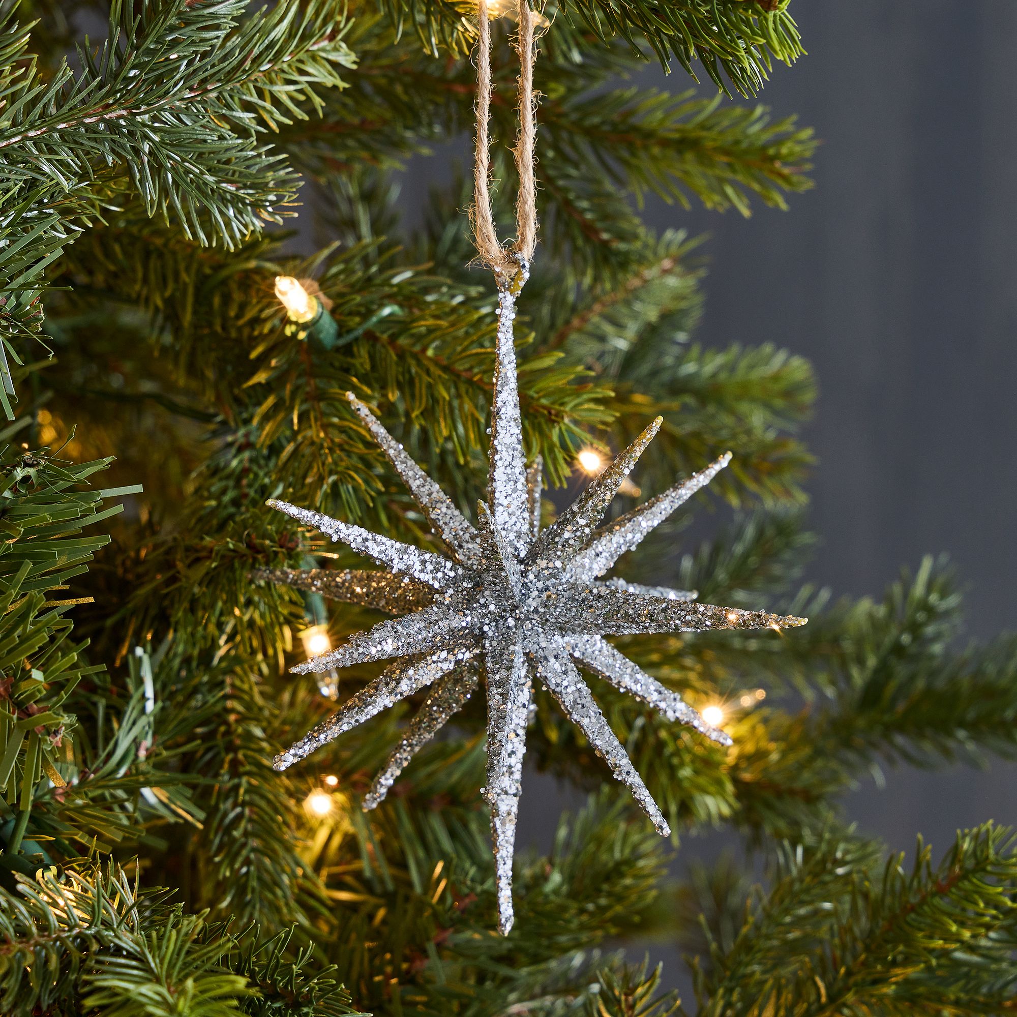 Celestial Burst Ornament | West Elm