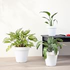 Lightweight Indoor/Outdoor Planters - Set of 3