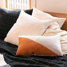 Anchal Project Naari Throw Pillows