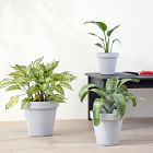 Lightweight Indoor/Outdoor Planters - Set of 3