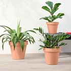 Lightweight Indoor/Outdoor Planters - Set of 3