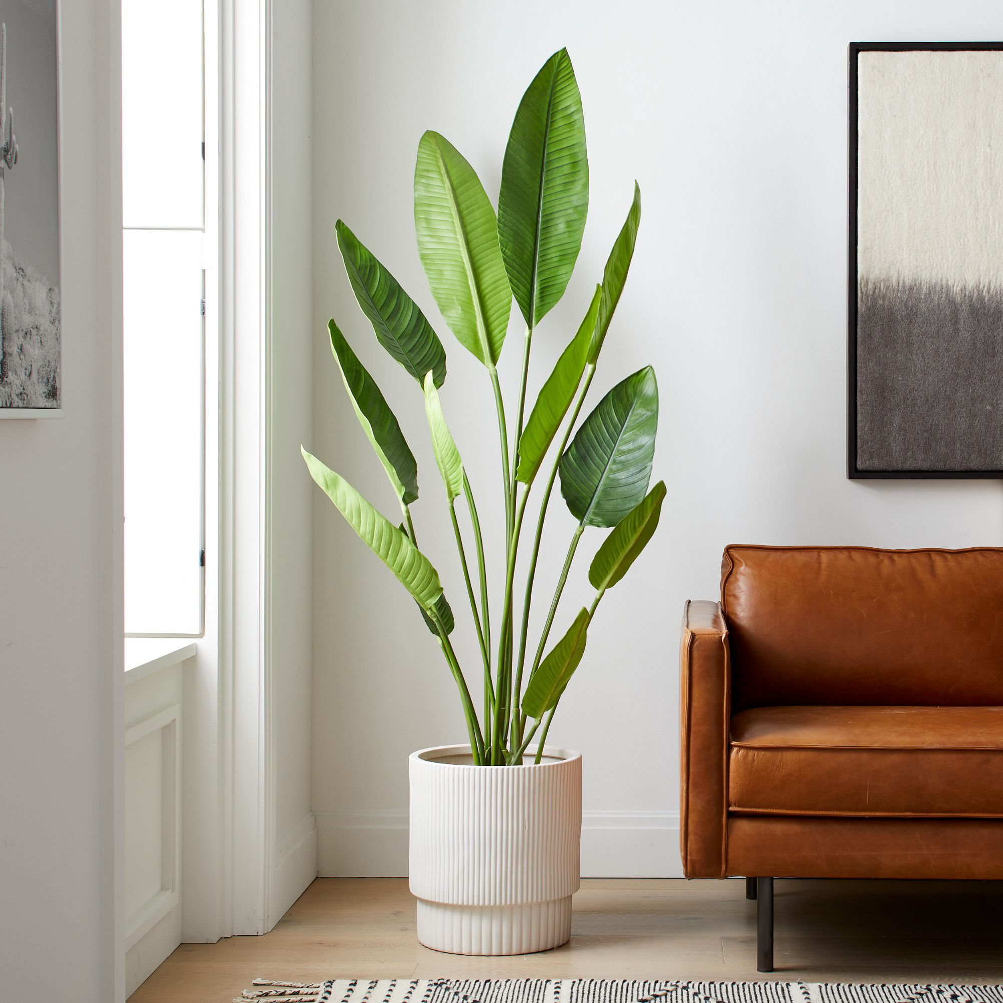 Faux Potted Bird of Paradise Plant | West Elm