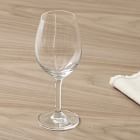 Schott Zwiesel Crystal Banquet Wine Glasses (Set Of 6)
