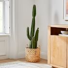 Faux Potted Cactus Plant &amp; Open Weave ZigZag Basket Planter Bundle