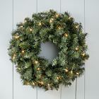 LED Light-Up Canadian Pine Wreath