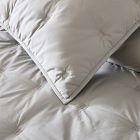 Washed Cotton Comforter &amp; Shams - Clearance