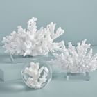 Coral Objects