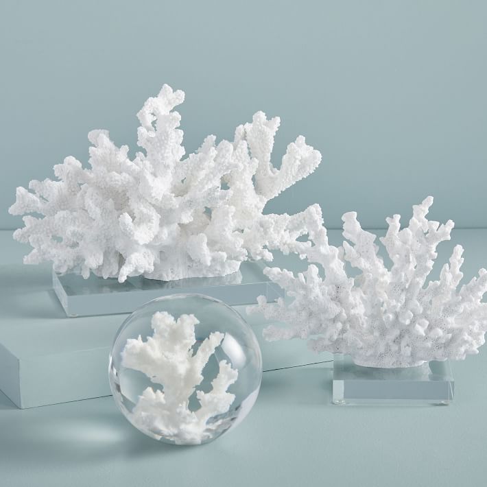Coral Objects